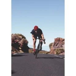 ABUS AirBreaker Helm - bordeaux red