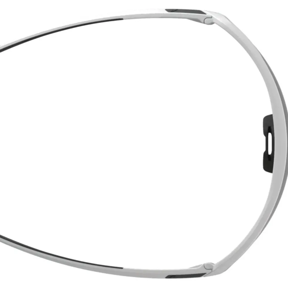 Alpina Turbo Pro S Q-Lite Brillen - white gloss/silver mirror
