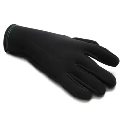 Biehler Winterhandschoenen - zwart
