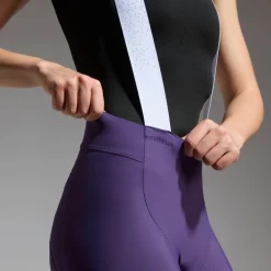 GOREWEAR Distance 3.0 Fietsshort met bretels Dames - lab graphite BZ00