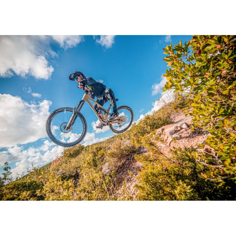 Northwave Kingrock Plus GTX MTB Schoenen - zwart/sand 91