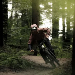 Ortovox Sequence Gore-Tex-broeken voor dames - chestnut